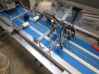 2009 Anko Spring Roll Production Line